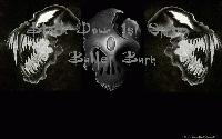 Picture for song 'you want war' by artist 'BLACK DAWN 1ST STRING'
