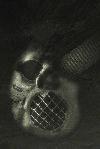 Picture for song 'Whats Goin ON' by artist 'Black Medicine Beats'
