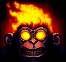 Picture for song 'Maui' by artist 'Black Monkey'