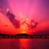 Picture for song 'BO BO' by artist 'black rainbow records'