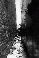Picture for song 'black alleys' by artist 'blacksun'