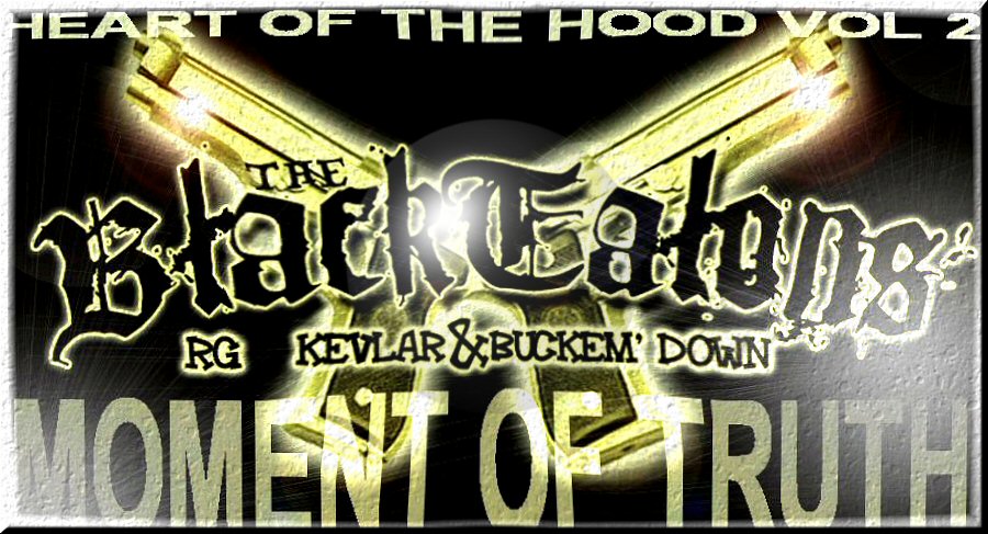 Picture for song 'new haven stand up' by artist 'black talons'