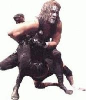 Picture for song 'Scorpion Death Lock' by artist 'Black Tye Chi'