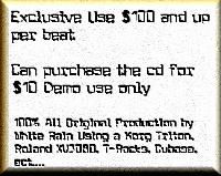 Picture for song '2 HOT 2 name?' by artist 'Black & White Brand Beats'
