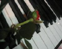 Picture for song 'Dugaldo Tribute (sample)' by artist 'Blair Doug and Rob'