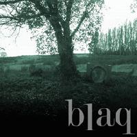 Picture for song 'Learning to Fly Without Wings' by artist 'Blaq'
