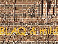 Picture for song 'Chillax' by artist 'BlaQ N Mild(Klyntel)'