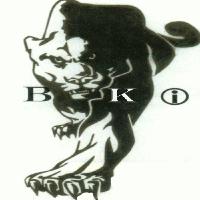 Picture for song 'take DeeZ NiggaZ 2 WAR' by artist 'Blaque Kat Inc'