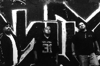 Picture for song 'TERROR' by artist 'BLASFEMIA LOS LOCOS'