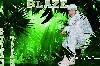 Picture for song 'SouthWest Tribes' by artist 'Blaze BeatZ'