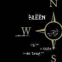 Picture for song 'b' by artist 'Bleen'