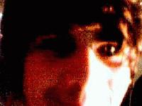 Picture for song 'the trees have eyes' by artist 'Blend 27'