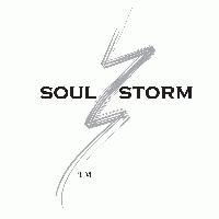 Picture for song 'You Are There STORM MIX' by artist 'Blessed Union'