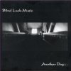 Picture for song 'The Fall Inside You' by artist 'Blind Luck Music (VT)'
