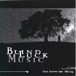Picture for song 'The Sixth Degree of Change' by artist 'Blind Luck Music (VT)'