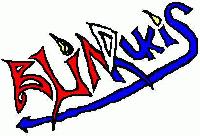 Picture for song 'our friend mike' by artist 'blind rukis'