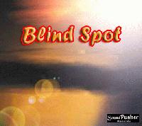 Picture for song 'SocialLies' by artist 'Blind Spot'