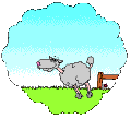Picture for song 'CRACK! (a.k.a. the' by artist 'blinki'
