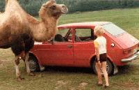 Picture for song 'camels to cadillacs' by artist 'blinky'