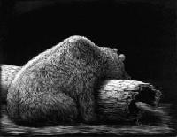 Picture for song 'log rolling' by artist 'blinky'