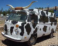 Picture for song 'moo' by artist 'blinky'