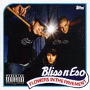 Picture for song 'Bliss n Eso - This Is For You (snippet)' by artist 'Bliss n Eso'