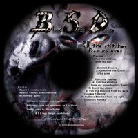 Picture for song 'Break the circle' by artist 'BloodSexDrive'
