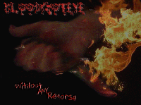 Picture for song 'F.U.B.A.R' by artist 'bloodshoteye'