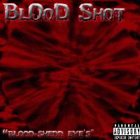 Picture for song '#2 -Last Resort (Sampler)' by artist 'BLooDSHoTT'
