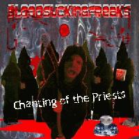 Picture for song 'Necromancer' by artist 'Bloodsuckingfreaks'