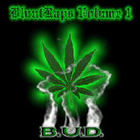 Picture for song 'ScandalUS (feat. McNastee)' by artist 'Bloody Unreal Delusionz'