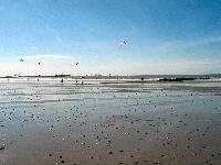 Picture for song 'Feel It' by artist 'BlownBoxMonk'