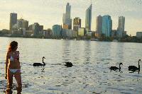 Picture for song 'Moving Force' by artist 'BlownBoxMonk'