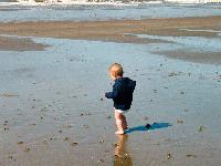 Picture for song 'The Offshore Account' by artist 'BlownBoxMonk'