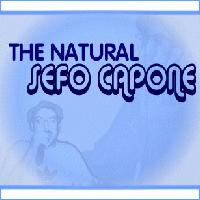 Picture for song 'THE NATURAL' by artist 'BLOWUP SCHOOL VERSEMASTER SEF'