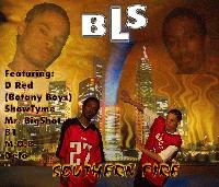 Picture for song 'Southern Fire(Down South)' by artist 'BLS'