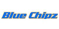 Picture for song 'Whatchulike' by artist 'BLUE CHIPZ'