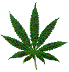 Picture for song 'Dat Weed Song' by artist 'Blue Hat'