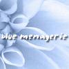 Picture for song 'Heart and Mind' by artist 'blue menagerie'