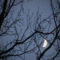 Picture for song 'Smedley's Tune-up Jam excerpt' by artist 'blueWank'