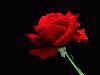 Picture for song 'V-day' by artist 'Blunt Bait Recordz'