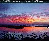 Picture for song 'Junior' by artist 'Bluntmosphere'