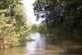 Picture for song 'In the Jungle' by artist 'bluntmosphere beats'