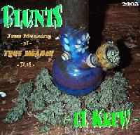 Picture for song 'Blunts - True Meaning of True Meanin( DisS )' by artist 'Blunts Aka Mr Huh'