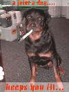 Picture for song 'Breathe Remix (Better Then Fabs)' by artist 'BluntSquad'