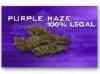 Picture for song 'Get Hazey (Kevlar Solo)' by artist 'BluntSquad'