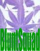 Picture for song '"How I Love You" Feat. Bianco Brothers ( 420 )' by artist 'BluntSquad'