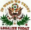 Picture for song 'Lex-Townz Hope Featuring P.T. , Bianco Brothers' by artist 'BluntSquad'
