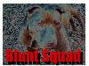 Picture for song 'U Dont Know Me (BluntSquad Remix)' by artist 'BluntSquad'
