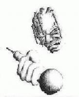 Picture for song 'Shootin The Breeze (Kid Slick Diss)' by artist 'Board Of Directors'